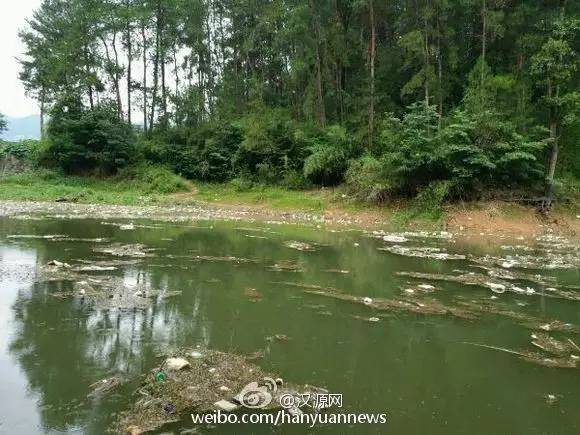 2018年7月汉中新闻,汉中5.28事件全过程