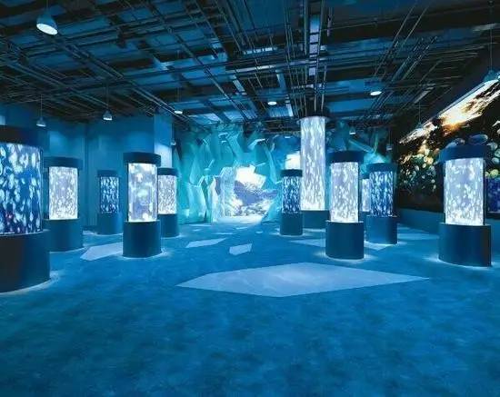 七夕脱单,七夕脱单攻略及答案