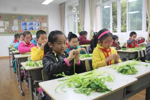 上海静安学校排名,静安最好的学校