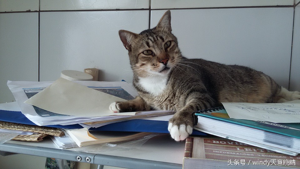 行测到底应该怎么学习？大神们呕心沥血整理出来的东西在这里！