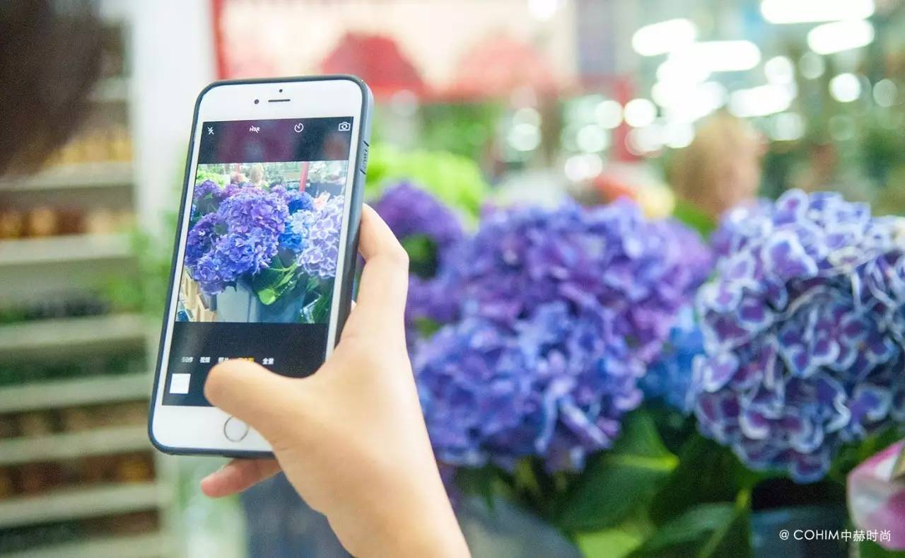 夜访北京皇城根儿下的五家花店：七夕不约会，只约花讲花艺