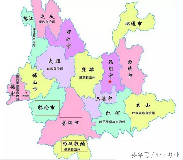 冰岛普洱茶茶山风景,普洱名山薄荷塘