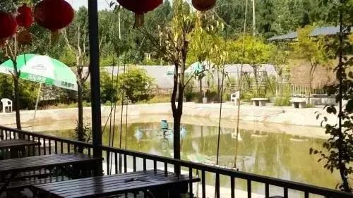 西安周边特色度假山庄可以爬山,西安周边值得去的度假村