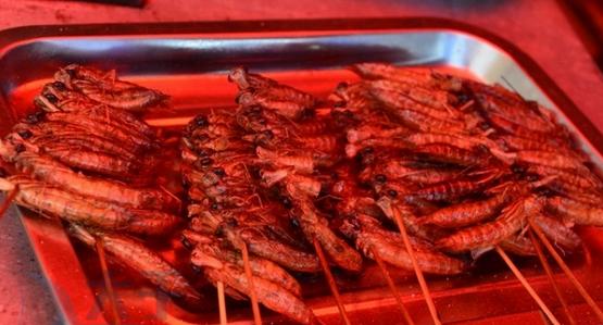 一般人不敢尝试的十大奇葩美食,25个令人目瞪口呆的奇葩美食