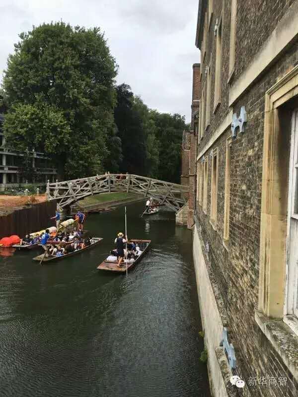新华商智个人成长业绩提升,新华商智怎么样