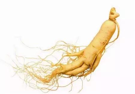 金色梦舞台打坐,金色梦舞台健身