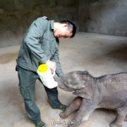 羊妞的日常生活,羊妞的生活记录