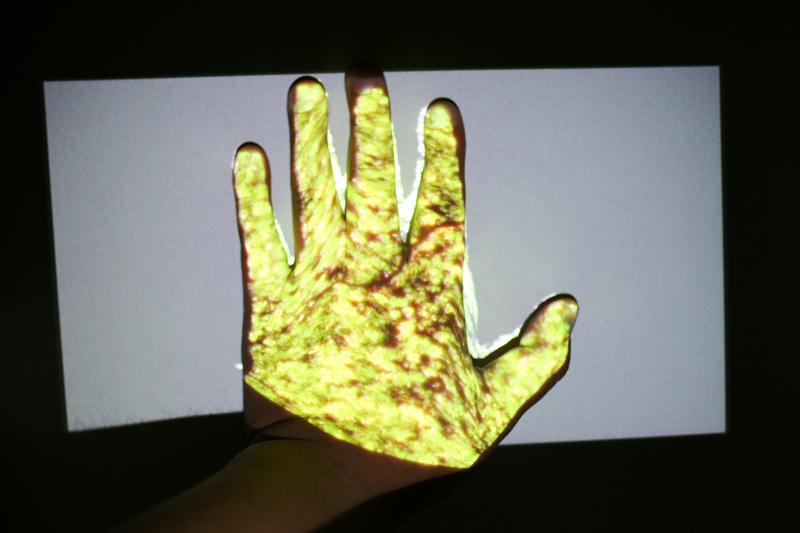 和小媚一起看电影!神画小媚微投体验