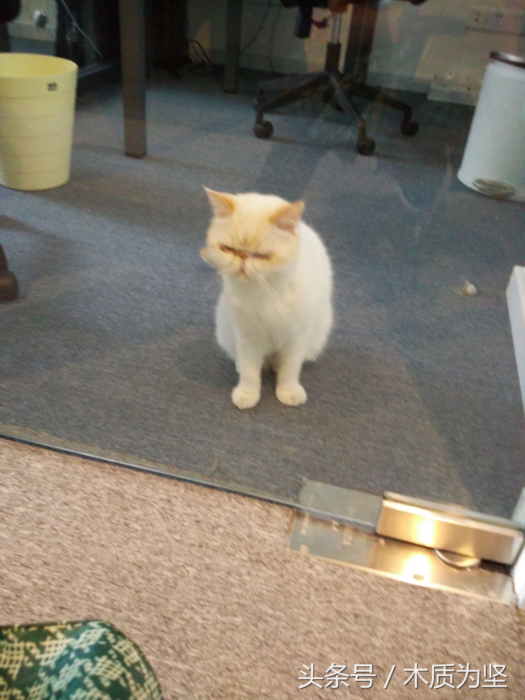 拜访深圳创客空间,看到了凤凰卫视曾做专访的角落(2)。。。