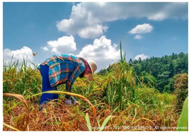 一封武平籍在厦外企的白领丽人的辞职信，看得我自信爆棚!