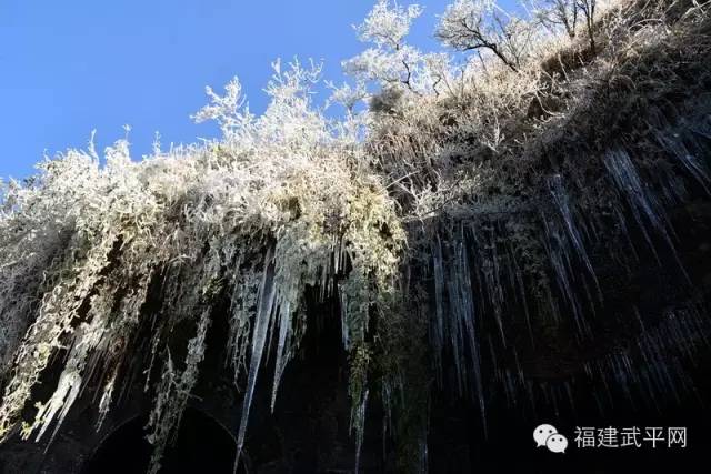 一封武平籍在厦外企的白领丽人的辞职信，看得我自信爆棚!