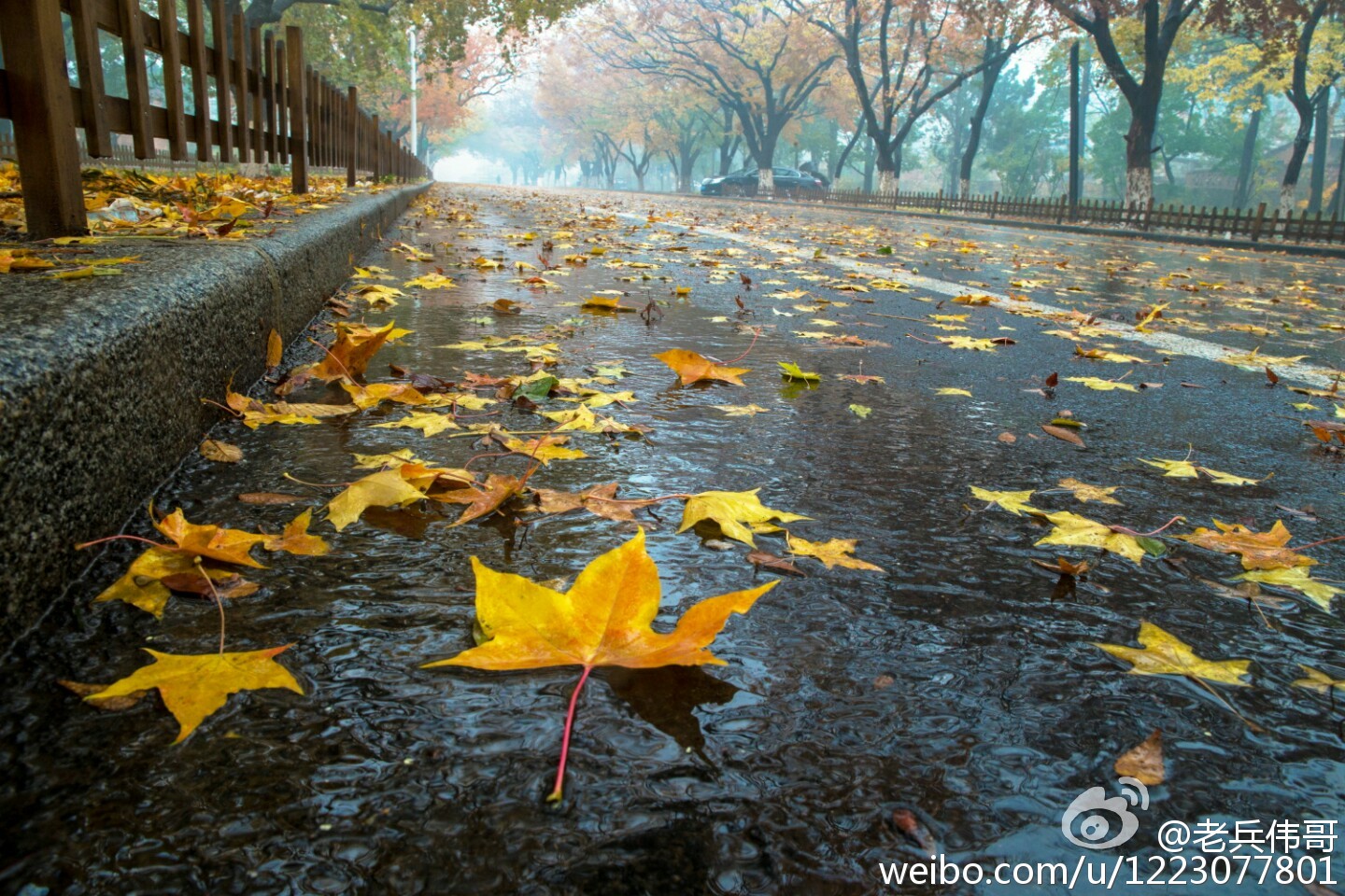 住下来，才知道旅顺口有多好