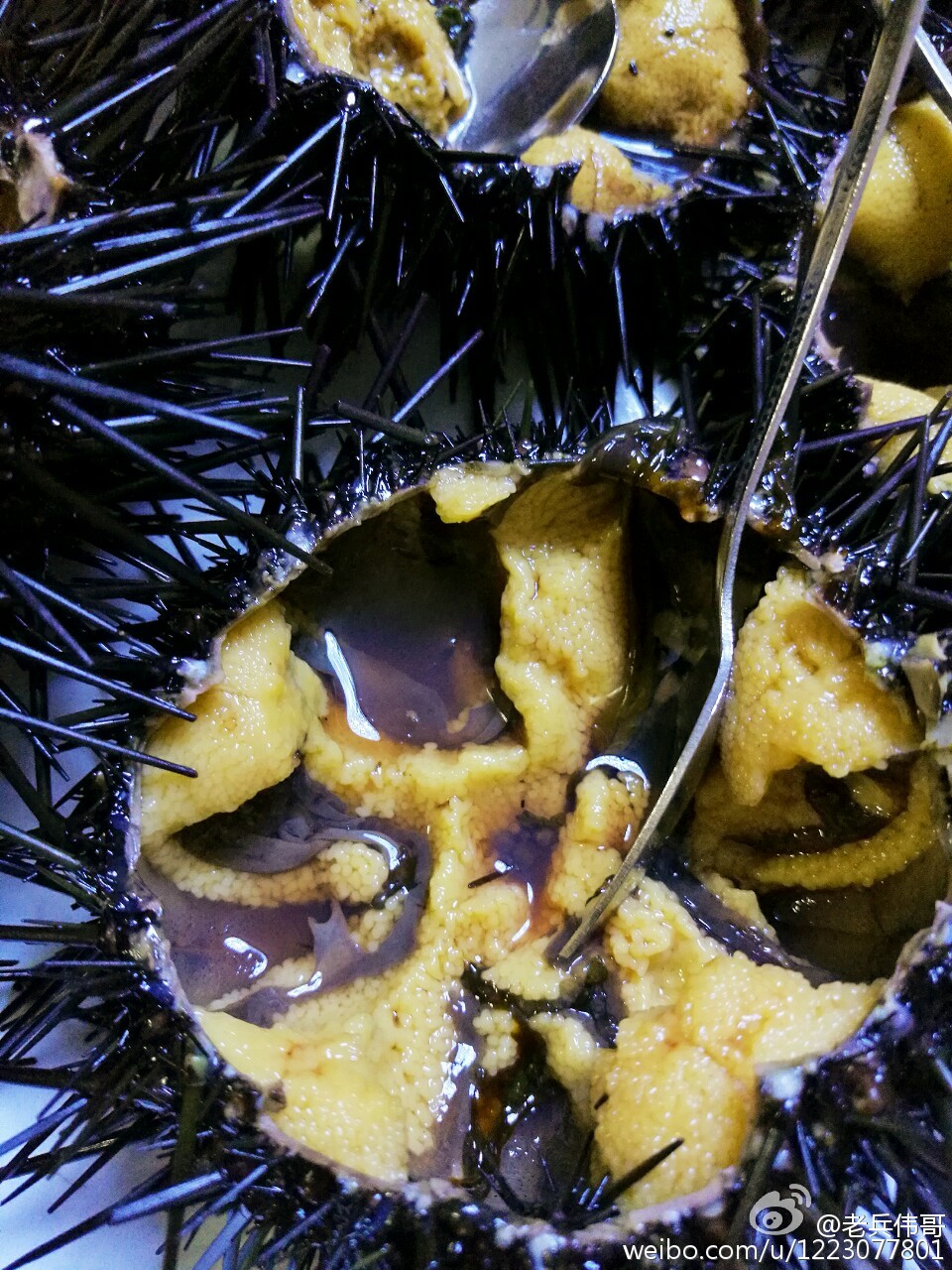 住下来，才知道旅顺口有多好