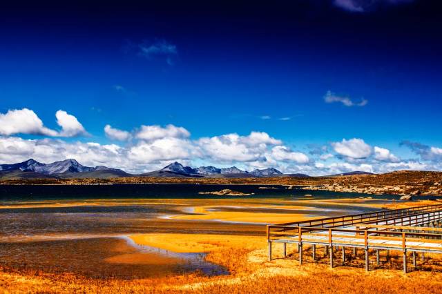 宝宝，你值得拥有所有最好的。