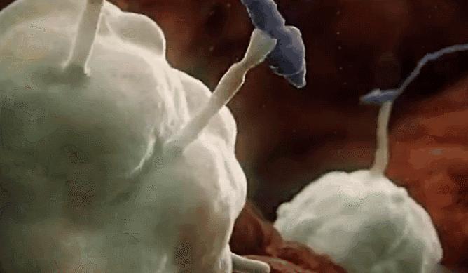 不容易怀孕的几个技巧,参考以下建议帮助提高受孕几率