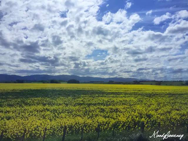 新西兰丨Dunedin但尼丁：骄傲的花园城市
