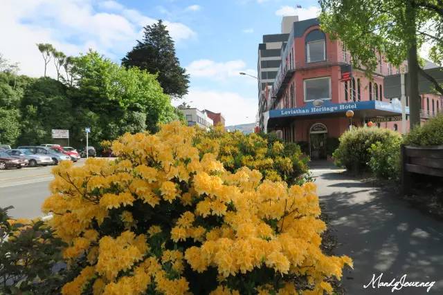 新西兰丨Dunedin但尼丁：骄傲的花园城市