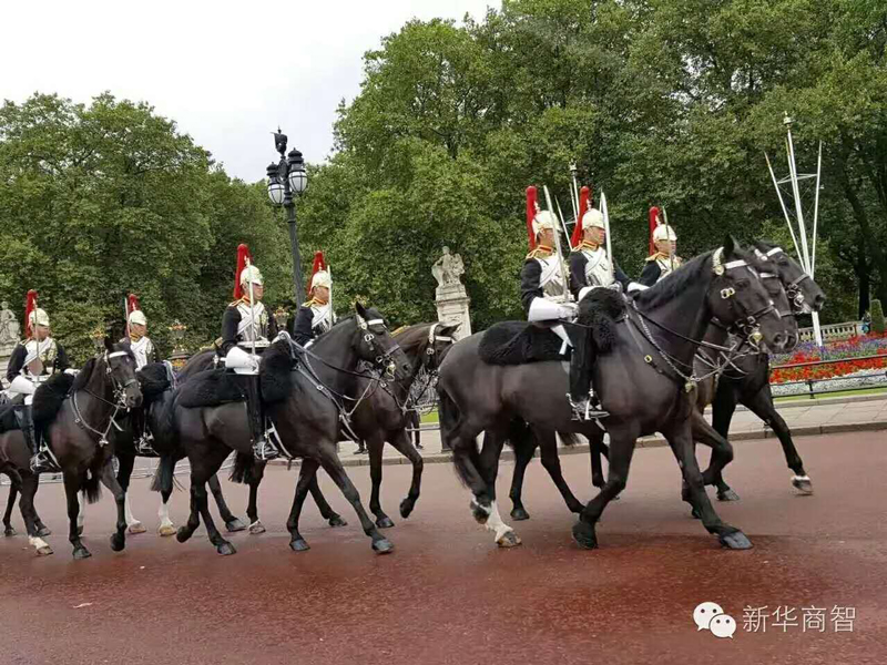 新华商智个人成长业绩提升,新华商智怎么样