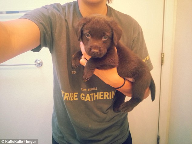 鐘笂鑵鎵嬫湳,涓婇瑁傜殑鐙楃嫍涓嶅仛鎵嬫湳鑳藉瓨娲诲悧