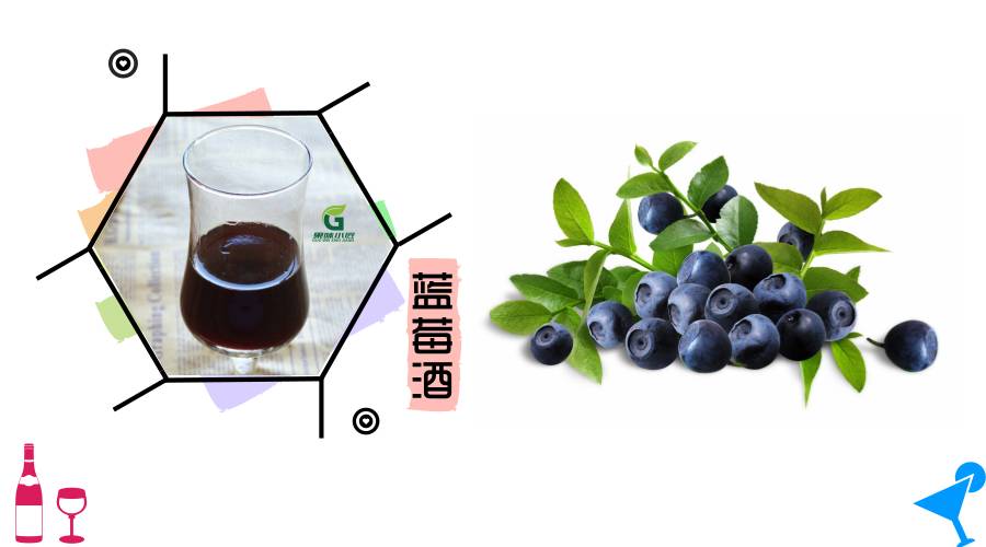 蓝莓酒的制作方法和注意事项,自制蓝莓酒最正确的方法