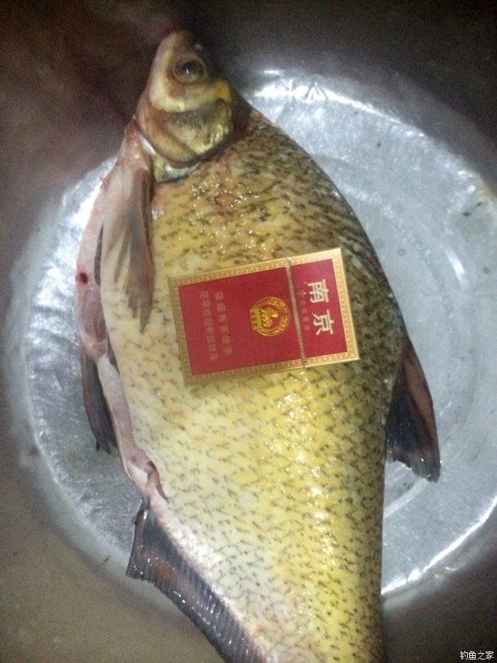 老鬼鳊鱼饵料配方,老鬼钓鳊鱼饵料