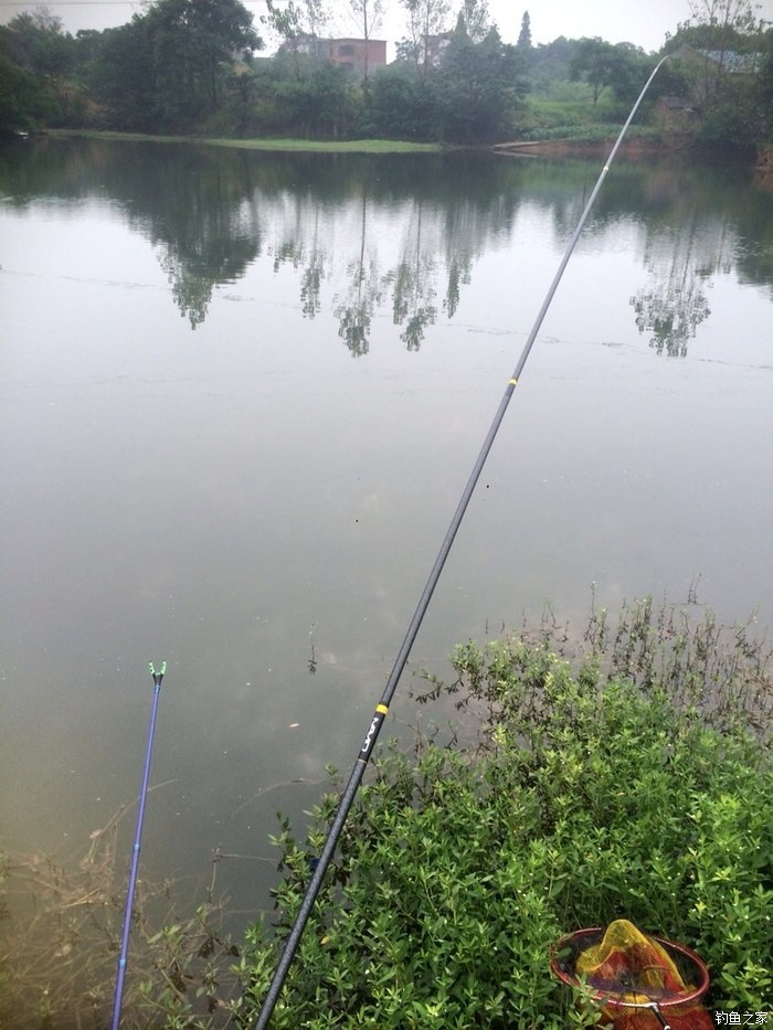 老鬼鳊鱼饵料配方,老鬼钓鳊鱼饵料