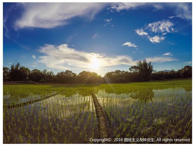 一封武平籍在厦外企的白领丽人的辞职信，看得我自信爆棚!