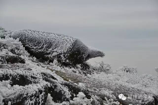 一封武平籍在厦外企的白领丽人的辞职信，看得我自信爆棚!