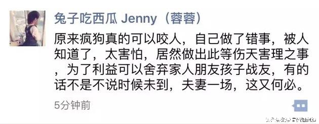 王宝强和马蓉互撕的结果:血淋淋,散落一地鸡毛