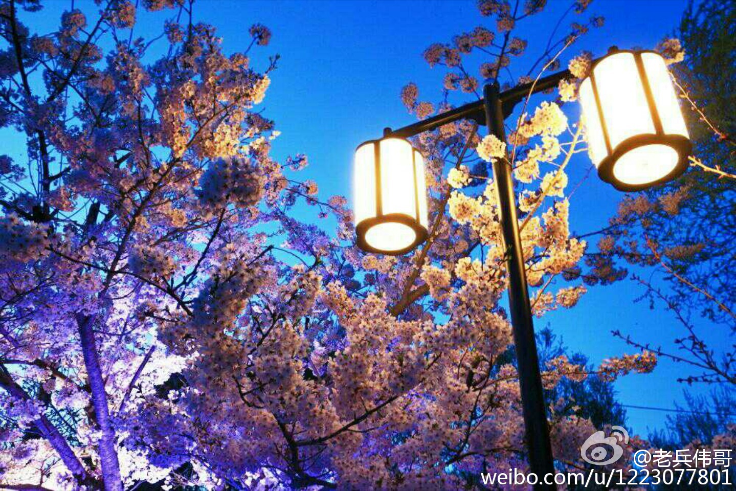 住下来，才知道旅顺口有多好