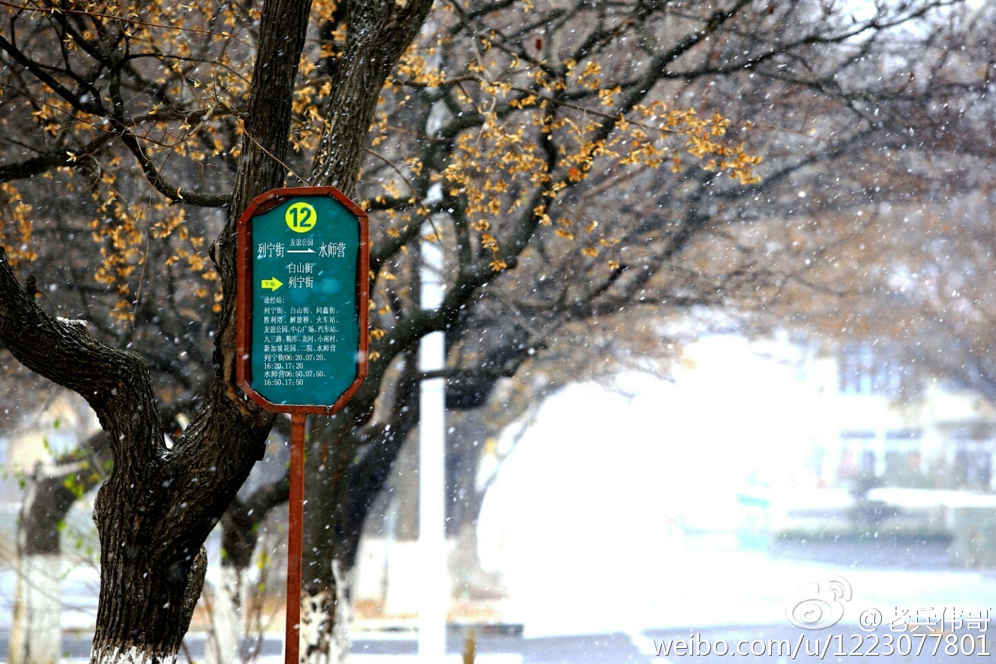 住下来，才知道旅顺口有多好