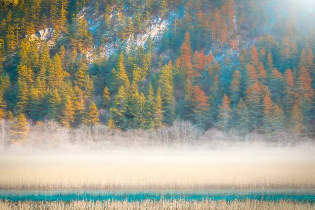 宝宝，你值得拥有所有最好的。