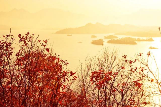 宝宝，你值得拥有所有最好的。