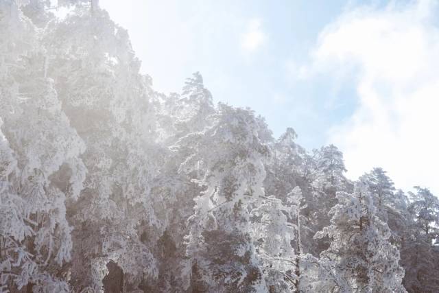 宝宝，你值得拥有所有最好的。