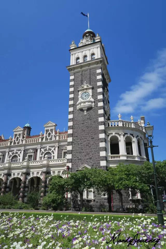 新西兰丨Dunedin但尼丁：骄傲的花园城市