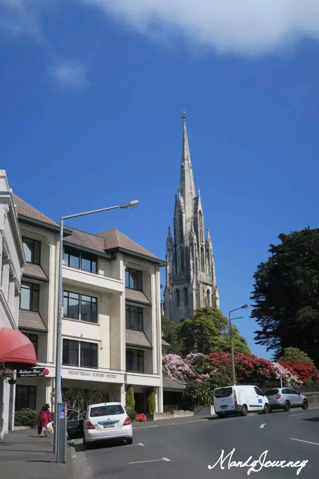 新西兰丨Dunedin但尼丁：骄傲的花园城市
