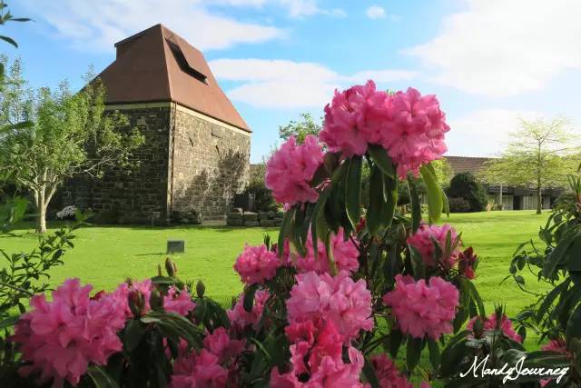 新西兰丨Dunedin但尼丁：骄傲的花园城市