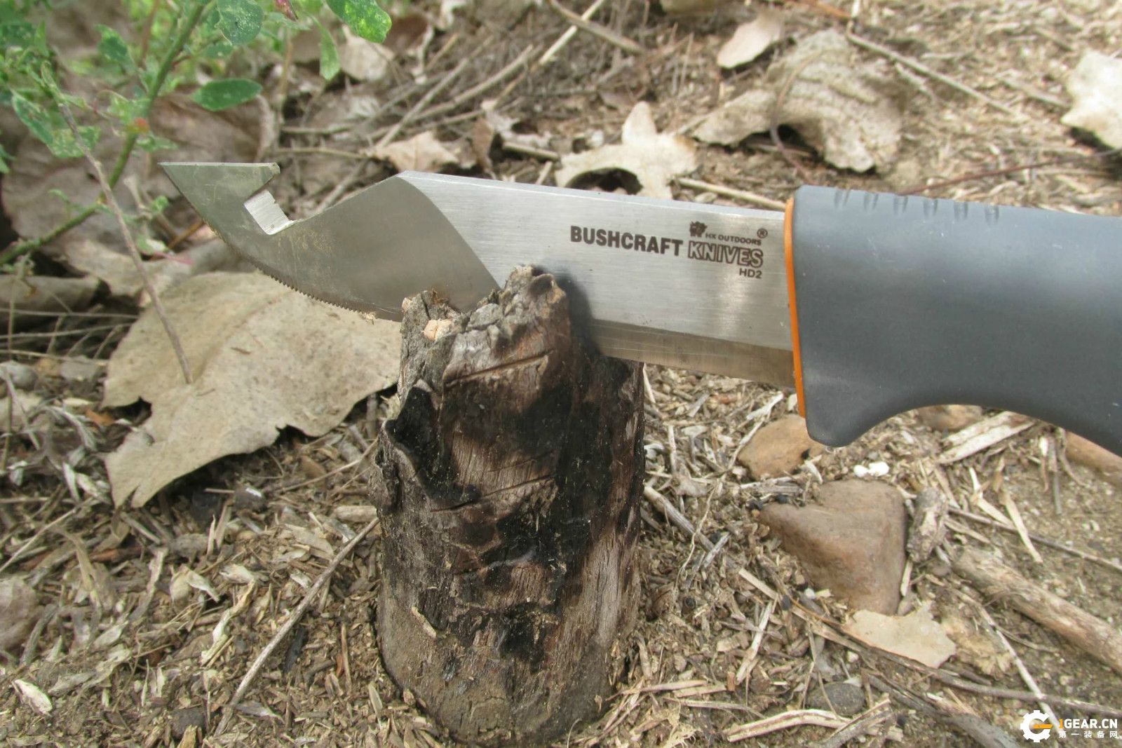 锋芒必露的效果,锋芒毕露战法