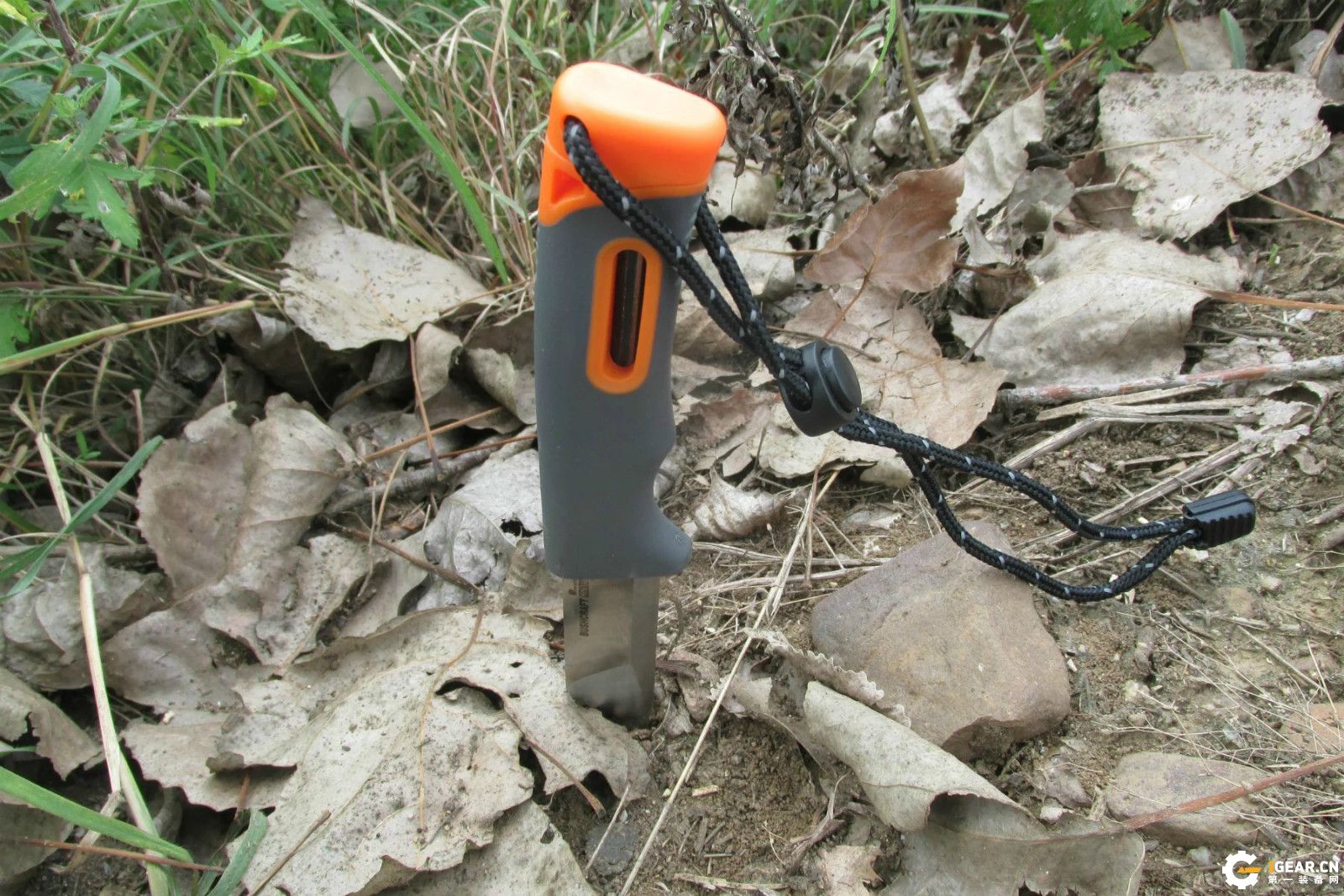 锋芒必露的效果,锋芒毕露战法