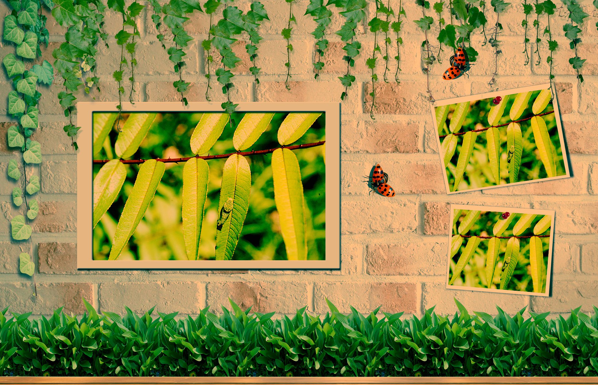 花样年华川菜,舌尖上的味蕾川菜