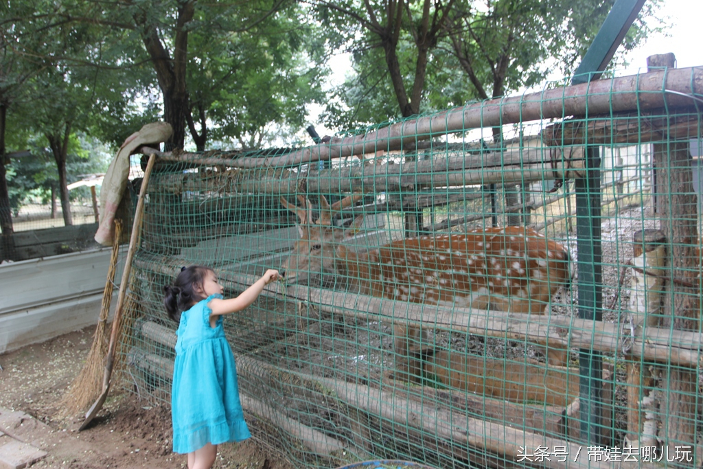 昌平拉斐特城堡酒店房间,昌平拉斐特城堡