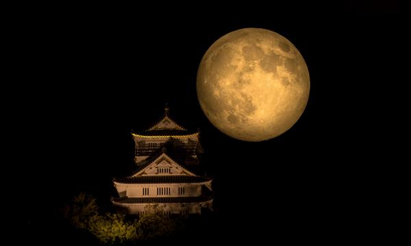 金瑞名城桐城,安徽名城古迹