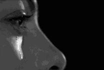 如果你在合肥，就不要问合肥人这些问题！小心叼到你飞起~