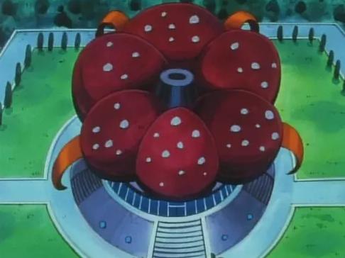 跟着pony去旅行之洛杉矶,跟着morven去旅行