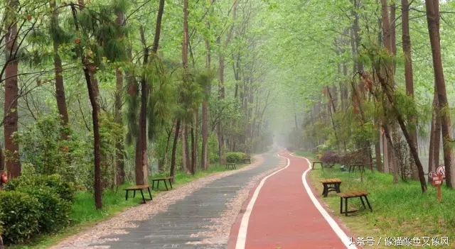 在合肥买房子的感受,在合肥你买对房子了吗