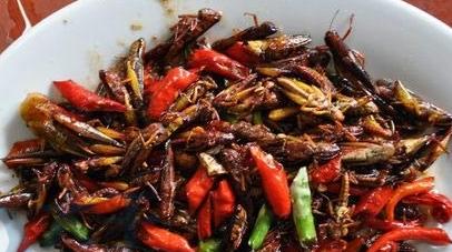 一般人不敢尝试的十大奇葩美食,25个令人目瞪口呆的奇葩美食