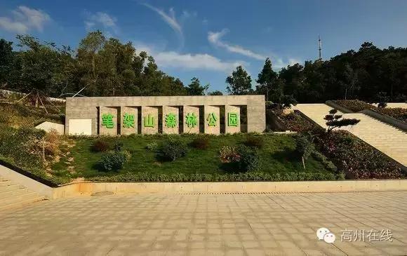 高州一天一夜游哪里好玩,高州最值得去的地方