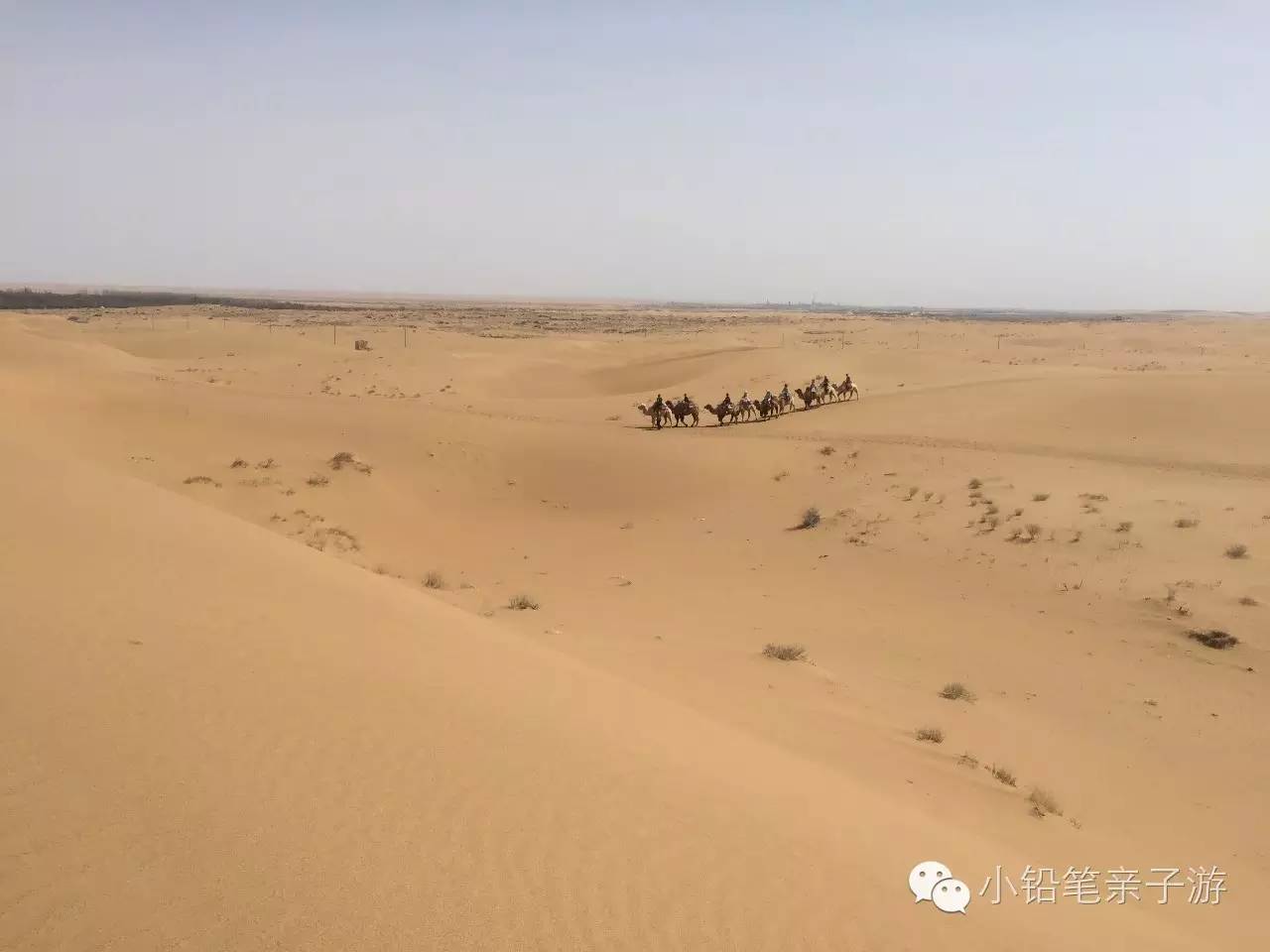 爸爸去哪儿宁夏沙坡头片段,爸爸去哪儿宁夏沙坡头