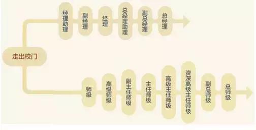 完善人才的培养体系,完善队伍建设机制