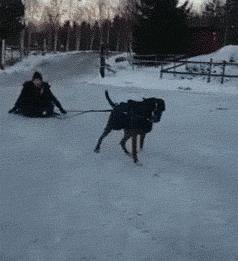 图文笑话：那么重还要我拉你，我辞职不干了